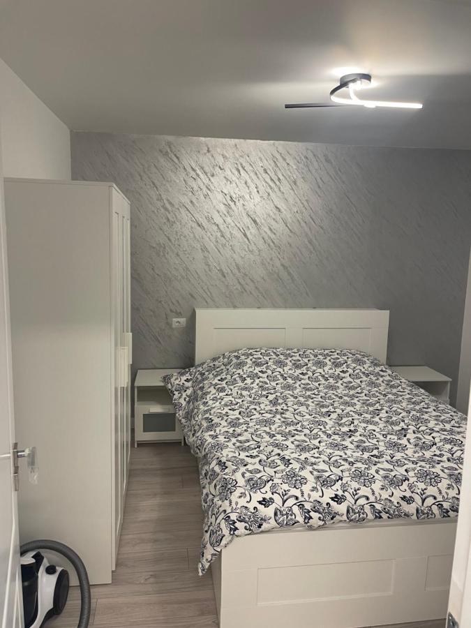 Apartament Incantator In רומאן מראה חיצוני תמונה